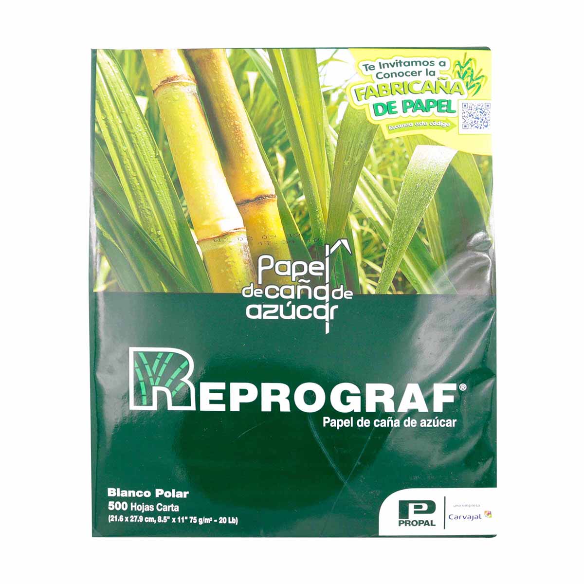 PAPEL FOTOCOPIA REPROGRAF CARTA