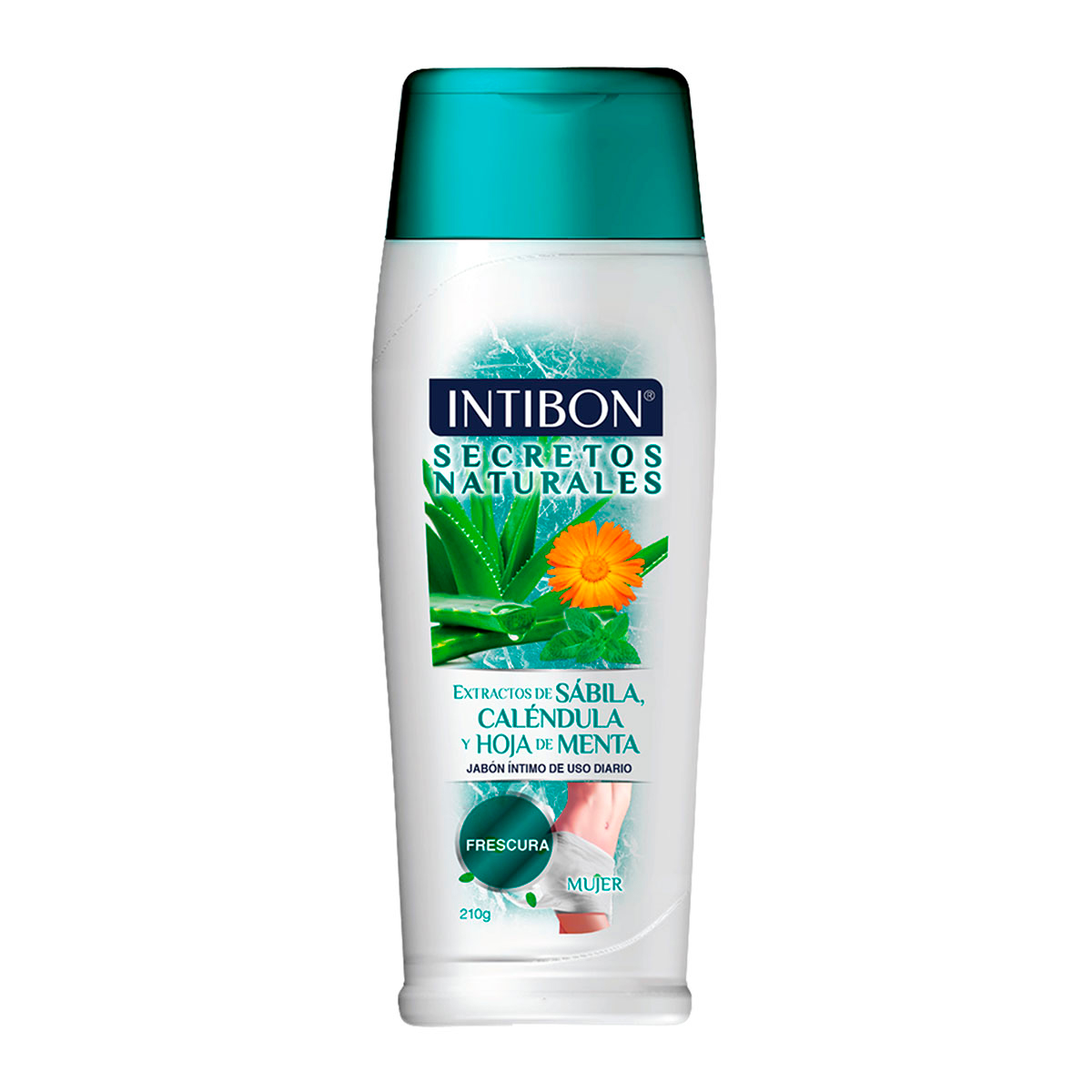 JAB.INT.INTIBON SECRETOS NAT MENTA 210 G
